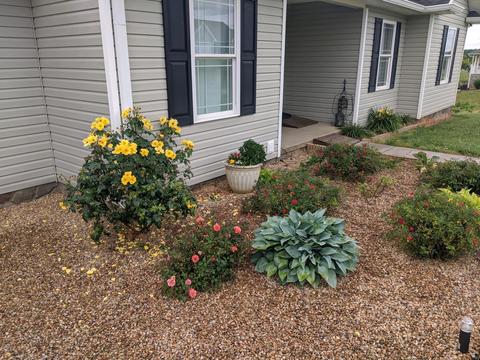 349 Katie Lane Chuckey Tn 37641, Chuckey, TN 37641 photo 3