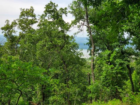 1171 Keetoowah Drive Mooresburg Tn 37811, Mooresburg, TN 37811