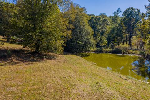 161 Mae Mckee Road Chuckey Tn 37641, Chuckey, TN 37641 photo 61
