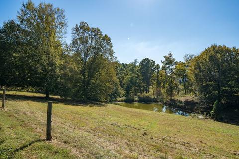 161 Mae Mckee Road Chuckey Tn 37641, Chuckey, TN 37641 photo 63
