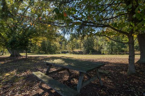 161 Mae Mckee Road Chuckey Tn 37641, Chuckey, TN 37641 photo 65