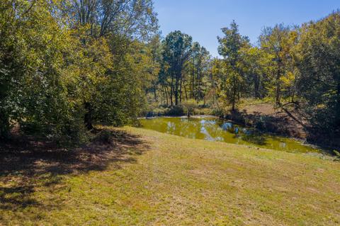 161 Mae Mckee Road Chuckey Tn 37641, Chuckey, TN 37641 photo 62