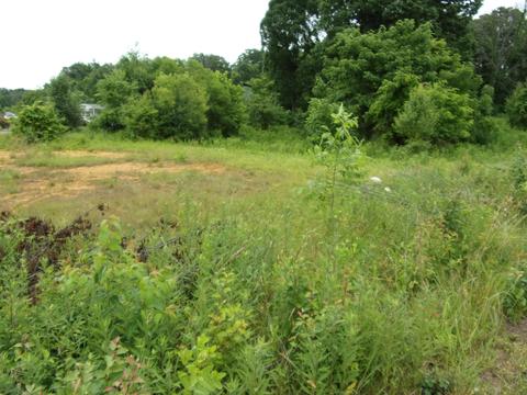 305 Roaming Dr Chuckey Tn 37641, Chuckey, TN 37641 photo 3