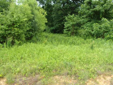 305 Roaming Dr Chuckey Tn 37641, Chuckey, TN 37641 photo 5