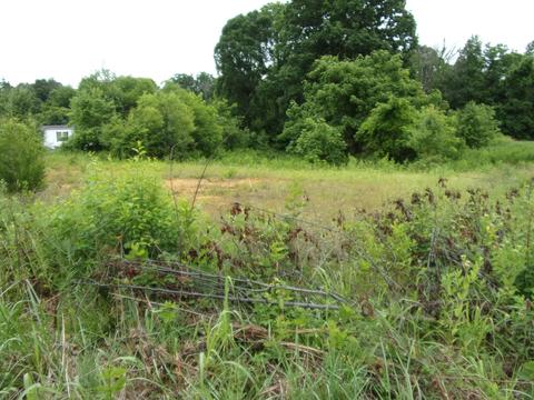 305 Roaming Dr Chuckey Tn 37641, Chuckey, TN 37641 photo 2