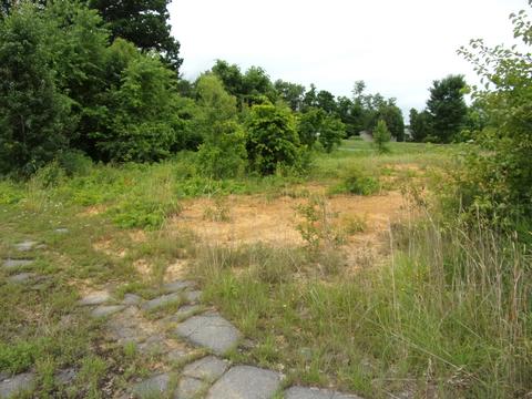 305 Roaming Dr Chuckey Tn 37641, Chuckey, TN 37641 photo 4
