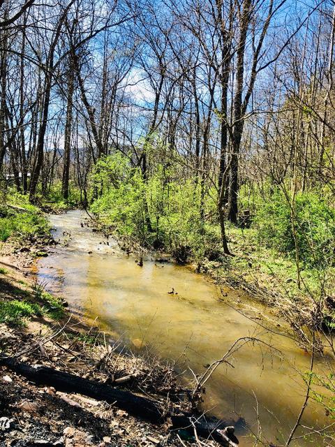 1019 Highway 321 Hampton Tn 37658, Hampton, TN 37658 photo 26
