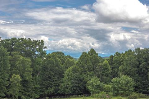 169 Townsend Road Fall Branch Tn 37656, Fall Branch, TN 37656 photo 57