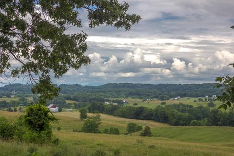 169 Townsend Road Fall Branch Tn 37656, Fall Branch, TN 37656 photo 54