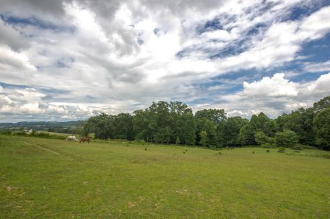 169 Townsend Road Fall Branch Tn 37656, Fall Branch, TN 37656 photo 59
