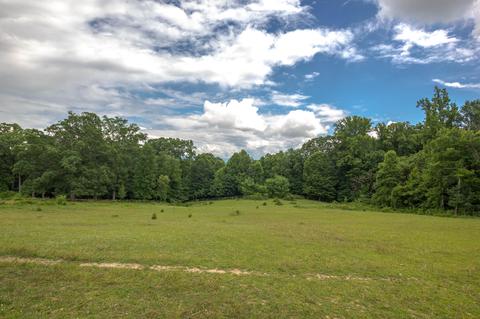 169 Townsend Road Fall Branch Tn 37656, Fall Branch, TN 37656 photo 58