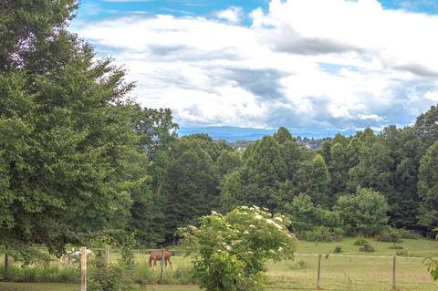 169 Townsend Road Fall Branch Tn 37656, Fall Branch, TN 37656 photo 56
