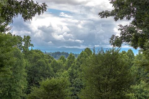 169 Townsend Road Fall Branch Tn 37656, Fall Branch, TN 37656 photo 55
