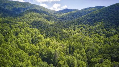 111 Cub Den Lane Hampton Tn 37658, Hampton, TN 37658 photo 5