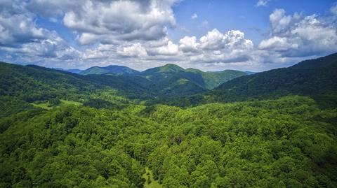 111 Cub Den Lane Hampton Tn 37658, Hampton, TN 37658 photo 6