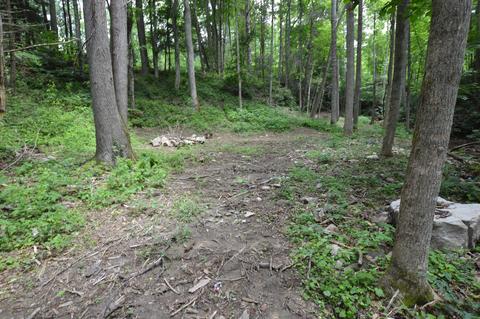 111 Cub Den Lane Hampton Tn 37658, Hampton, TN 37658 photo 32
