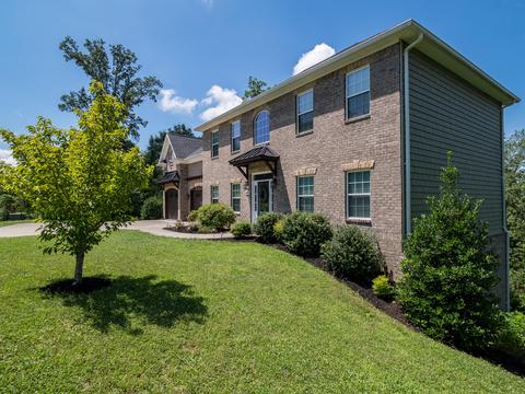 455 Ridgeview Meadows Drive Gray Tn 37615, Gray, TN 37615 photo 3