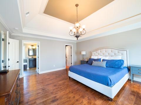 455 Ridgeview Meadows Drive Gray Tn 37615, Gray, TN 37615 photo 18