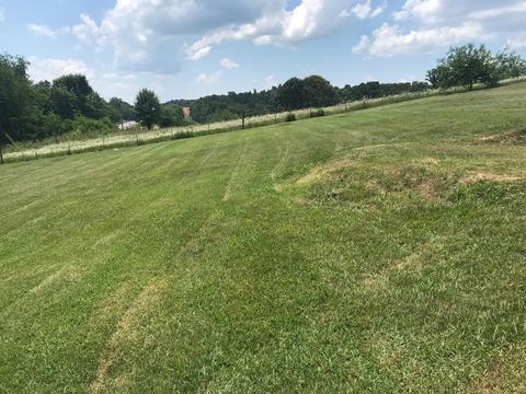 41 E Ridges Drive Chuckey Tn 37641, Chuckey, TN 37641 photo 16