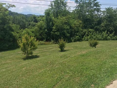 41 E Ridges Drive Chuckey Tn 37641, Chuckey, TN 37641 photo 4