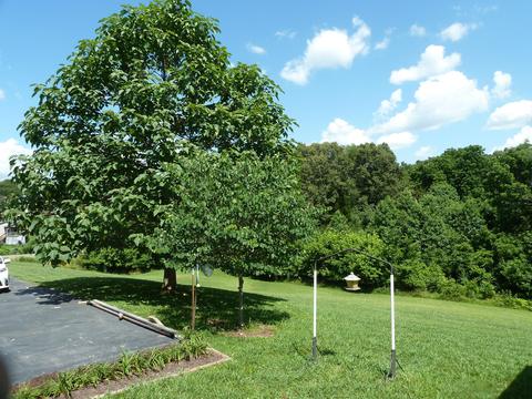 3277 Devault Bridge Road Piney Flats Tn 37686, Piney Flats, TN 37686 photo 66