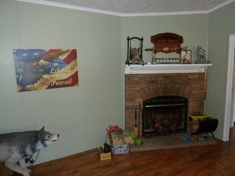 3277 Devault Bridge Road Piney Flats Tn 37686, Piney Flats, TN 37686 photo 3