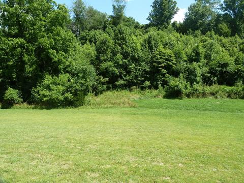 3277 Devault Bridge Road Piney Flats Tn 37686, Piney Flats, TN 37686 photo 57