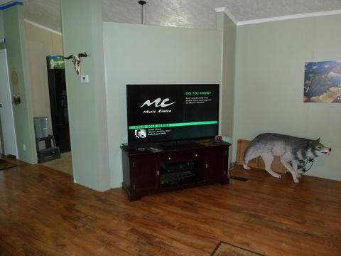 3277 Devault Bridge Road Piney Flats Tn 37686, Piney Flats, TN 37686 photo 2