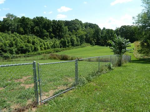 3277 Devault Bridge Road Piney Flats Tn 37686, Piney Flats, TN 37686 photo 48