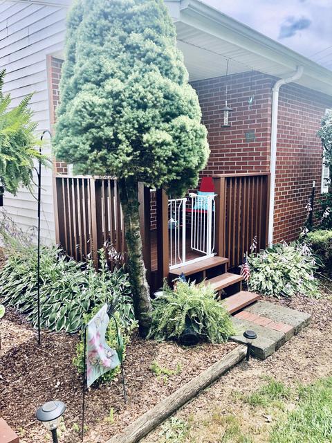 7 E Tunbridge Court 7 Johnson City Tn 37604, Johnson City, TN 37604 photo 16