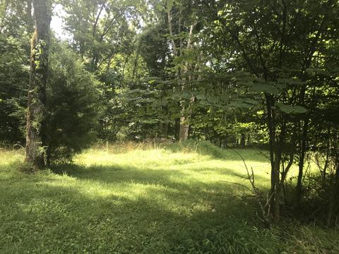 2784 Devault Bridge Road Piney Flats Tn 37686, Piney Flats, TN 37686 photo 3