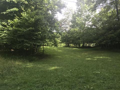 2784 Devault Bridge Road Piney Flats Tn 37686, Piney Flats, TN 37686 photo 2
