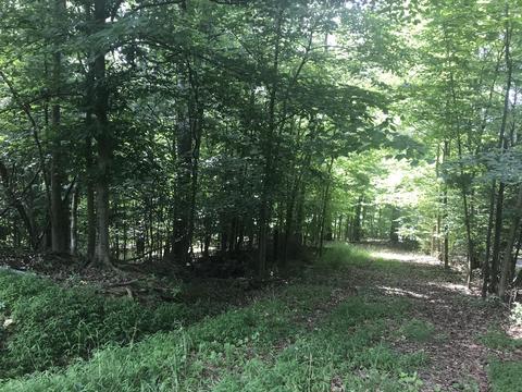 2784 Devault Bridge Road Piney Flats Tn 37686, Piney Flats, TN 37686 photo 4