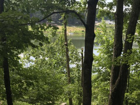 2784 Devault Bridge Road Piney Flats Tn 37686, Piney Flats, TN 37686 photo 6
