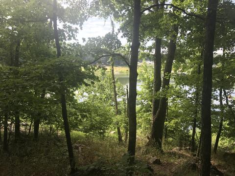 2784 Devault Bridge Road Piney Flats Tn 37686, Piney Flats, TN 37686 photo 5
