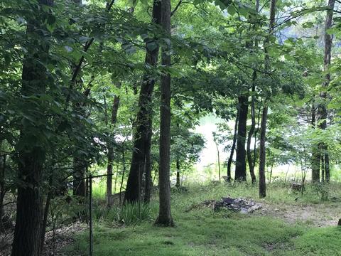 2784 Devault Bridge Road Piney Flats Tn 37686, Piney Flats, TN 37686 photo 7