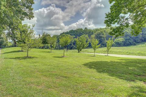 208 Smalling Road Watauga Tn 37694, Watauga, TN 37694 photo 41