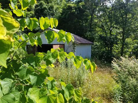 3036 Kingdom Road Duffield Va 24244, Duffield, VA 24244 photo 5
