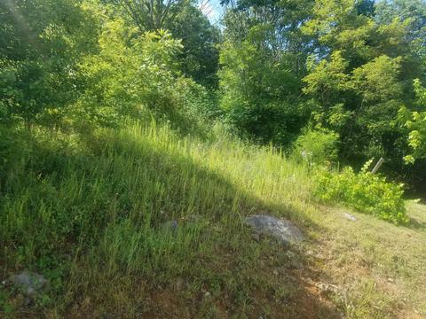 342 Ridge Road Fall Branch Tn 37656, Fall Branch, TN 37656 photo 17