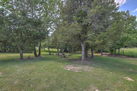 241 E Ridges Drive Chuckey Tn 37641, Chuckey, TN 37641 photo 38
