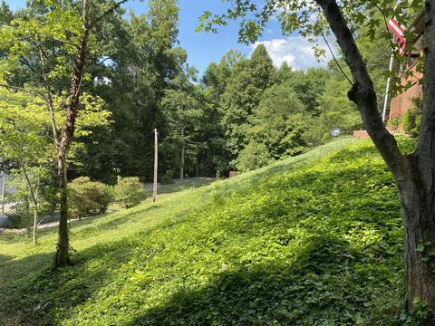 1412 Highway 321 Hampton Tn 37658, Hampton, TN 37658 photo 9