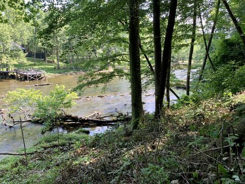 190 Tailwater Road Bluff City Tn 37618, Bluff City, TN 37618 photo 21