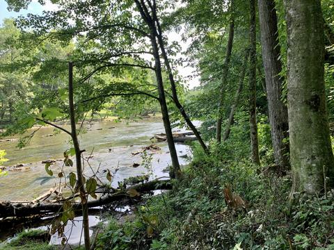 190 Tailwater Road Bluff City Tn 37618, Bluff City, TN 37618 photo 15