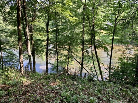 190 Tailwater Road Bluff City Tn 37618, Bluff City, TN 37618 photo 18