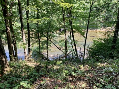 190 Tailwater Road Bluff City Tn 37618, Bluff City, TN 37618 photo 16