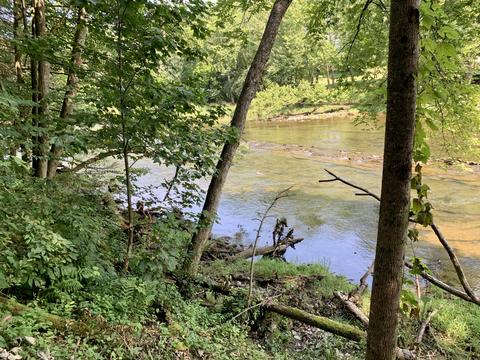 190 Tailwater Road Bluff City Tn 37618, Bluff City, TN 37618 photo 24