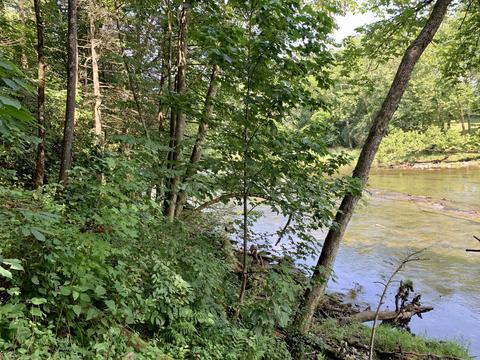 190 Tailwater Road Bluff City Tn 37618, Bluff City, TN 37618 photo 12