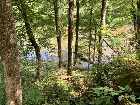 190 Tailwater Road Bluff City Tn 37618, Bluff City, TN 37618 photo 9