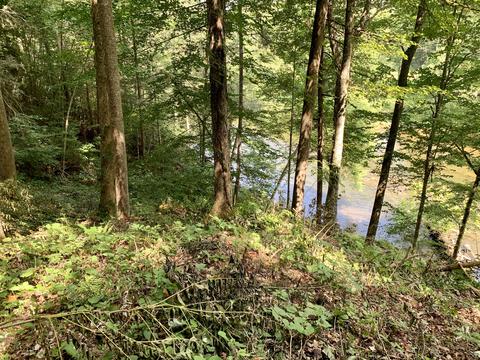 190 Tailwater Road Bluff City Tn 37618, Bluff City, TN 37618 photo 6