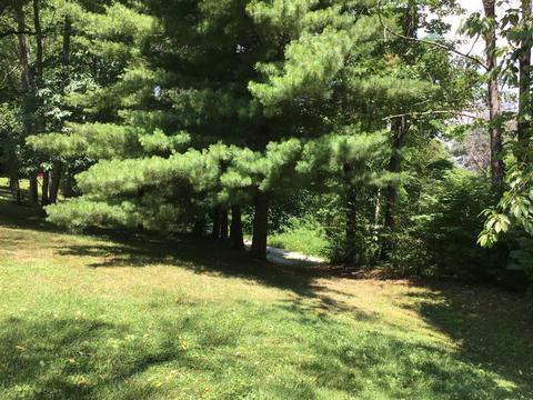225 SE Apple Drive Wise Va 24293, Wise, VA 24293 photo 46